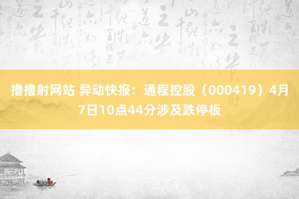 撸撸射网站 异动快报：通程控股（000419）4月7日10点44分涉及跌停板