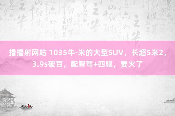 撸撸射网站 1035牛·米的大型SUV，长超5米2，3.9s破百，配智驾+四驱，要火了