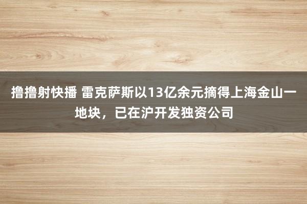 撸撸射快播 雷克萨斯以13亿余元摘得上海金山一地块，已在沪开发独资公司