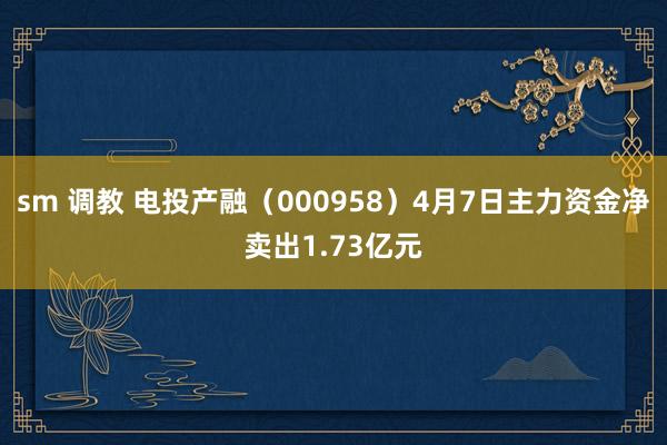 sm 调教 电投产融（000958）4月7日主力资金净卖出1.73亿元