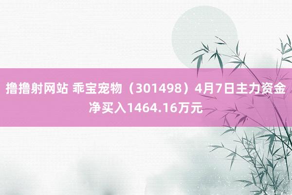 撸撸射网站 乖宝宠物（301498）4月7日主力资金净买入1464.16万元