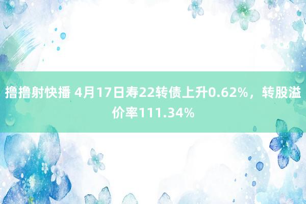 撸撸射快播 4月17日寿22转债上升0.62%，转股溢价率111.34%