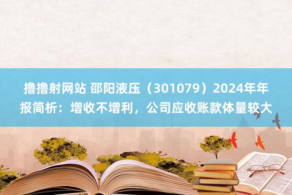 撸撸射网站 邵阳液压（301079）2024年年报简析：增收不增利，公司应收账款体量较大