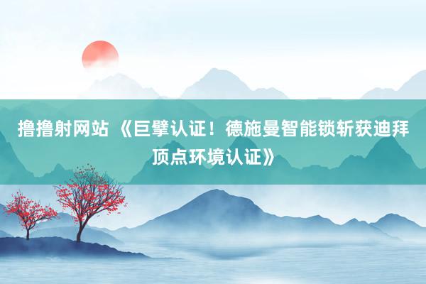 撸撸射网站 《巨擘认证！德施曼智能锁斩获迪拜顶点环境认证》