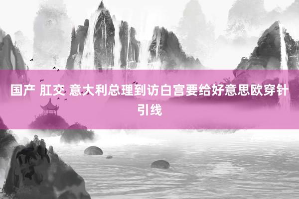 国产 肛交 意大利总理到访白宫要给好意思欧穿针引线