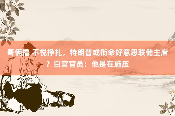 哥俩撸 不悦挣扎，特朗普或衔命好意思联储主席？白宫官员：他是在施压