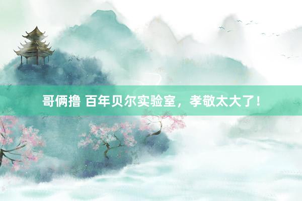 哥俩撸 百年贝尔实验室，孝敬太大了！