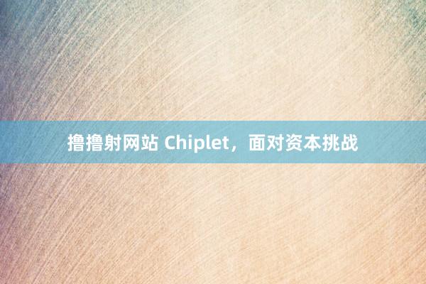 撸撸射网站 Chiplet，面对资本挑战