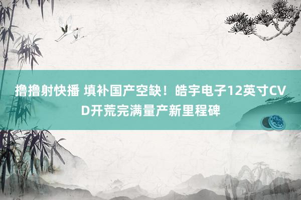 撸撸射快播 填补国产空缺！皓宇电子12英寸CVD开荒完满量产新里程碑