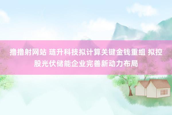 撸撸射网站 琏升科技拟计算关键金钱重组 拟控股光伏储能企业完善新动力布局
