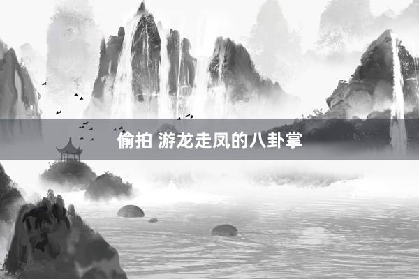 偷拍 游龙走凤的八卦掌