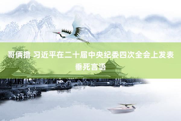 哥俩撸 习近平在二十届中央纪委四次全会上发表垂死言语