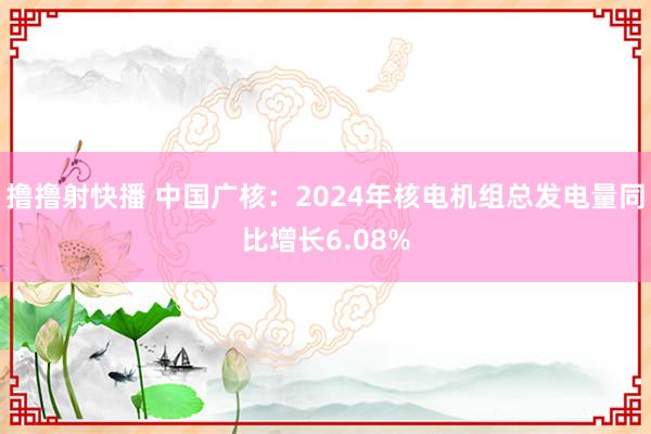 撸撸射快播 中国广核：2024年核电机组总发电量同比增长6.08%
