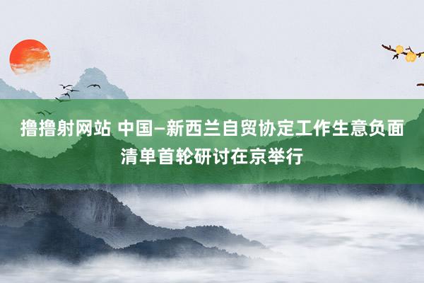撸撸射网站 中国—新西兰自贸协定工作生意负面清单首轮研讨在京举行