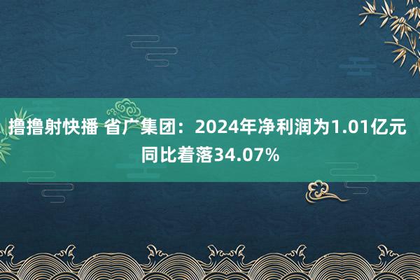 撸撸射快播 省广集团：2024年净利润为1.01亿元 同比着落34.07%