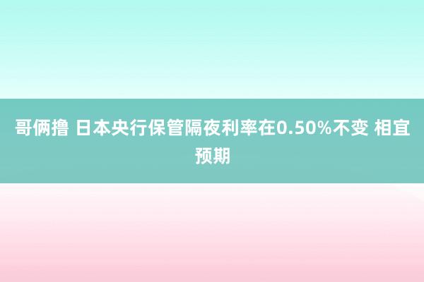 哥俩撸 日本央行保管隔夜利率在0.50%不变 相宜预期