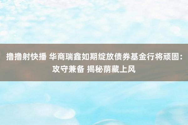 撸撸射快播 华商瑞鑫如期绽放债券基金行将顽固：攻守兼备 揭秘荫藏上风