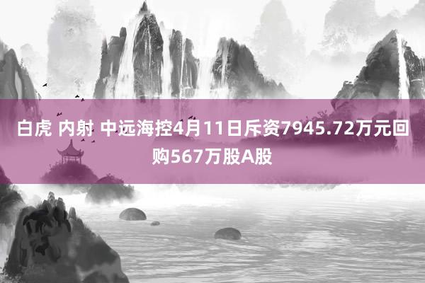 白虎 内射 中远海控4月11日斥资7945.72万元回购567万股A股