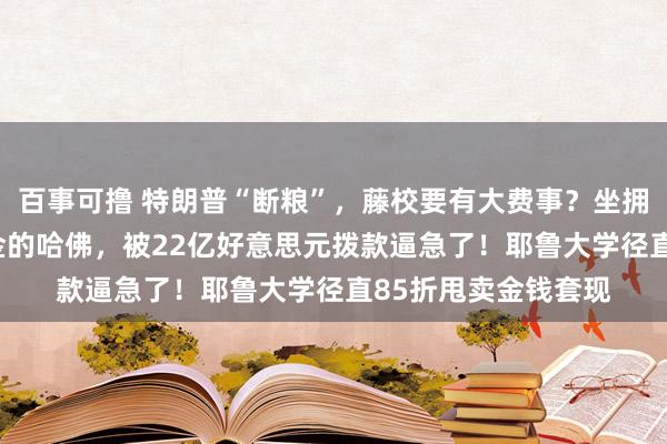 百事可撸 特朗普“断粮”，藤校要有大费事？坐拥532亿好意思元基金的哈佛，被22亿好意思元拨款逼急了！耶鲁大学径直85折甩卖金钱套现
