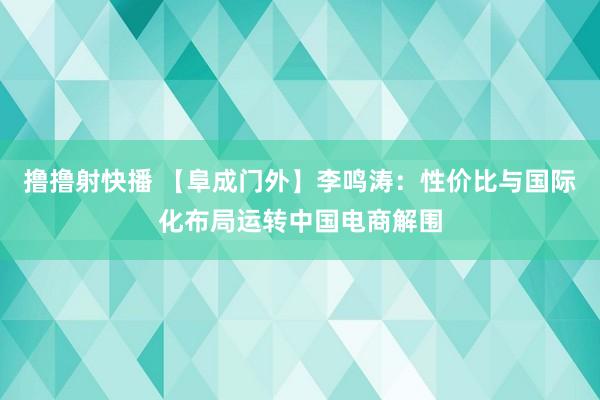 撸撸射快播 【阜成门外】李鸣涛：性价比与国际化布局运转中国电商解围