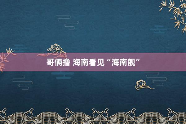 哥俩撸 海南看见“海南舰”