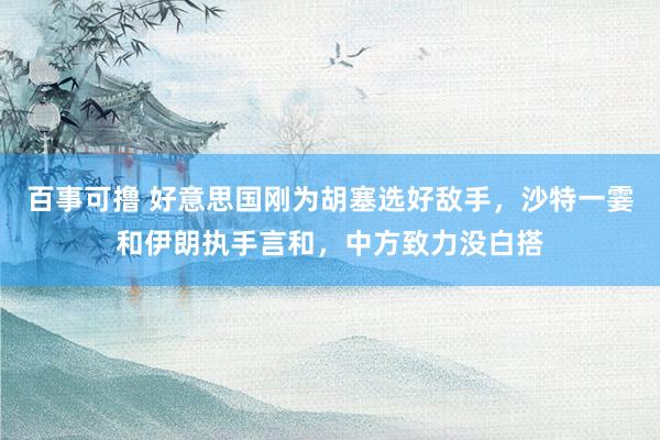 百事可撸 好意思国刚为胡塞选好敌手，沙特一霎和伊朗执手言和，中方致力没白搭