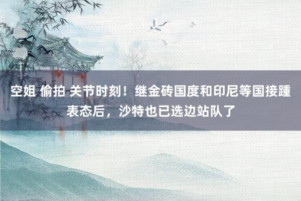 空姐 偷拍 关节时刻！继金砖国度和印尼等国接踵表态后，沙特也已选边站队了